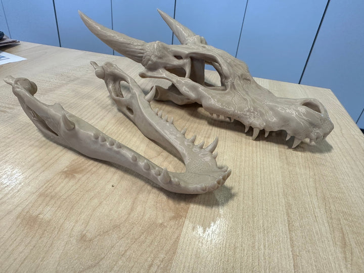 3D printed prop, life sized Kobold Skull - Mini Megastore