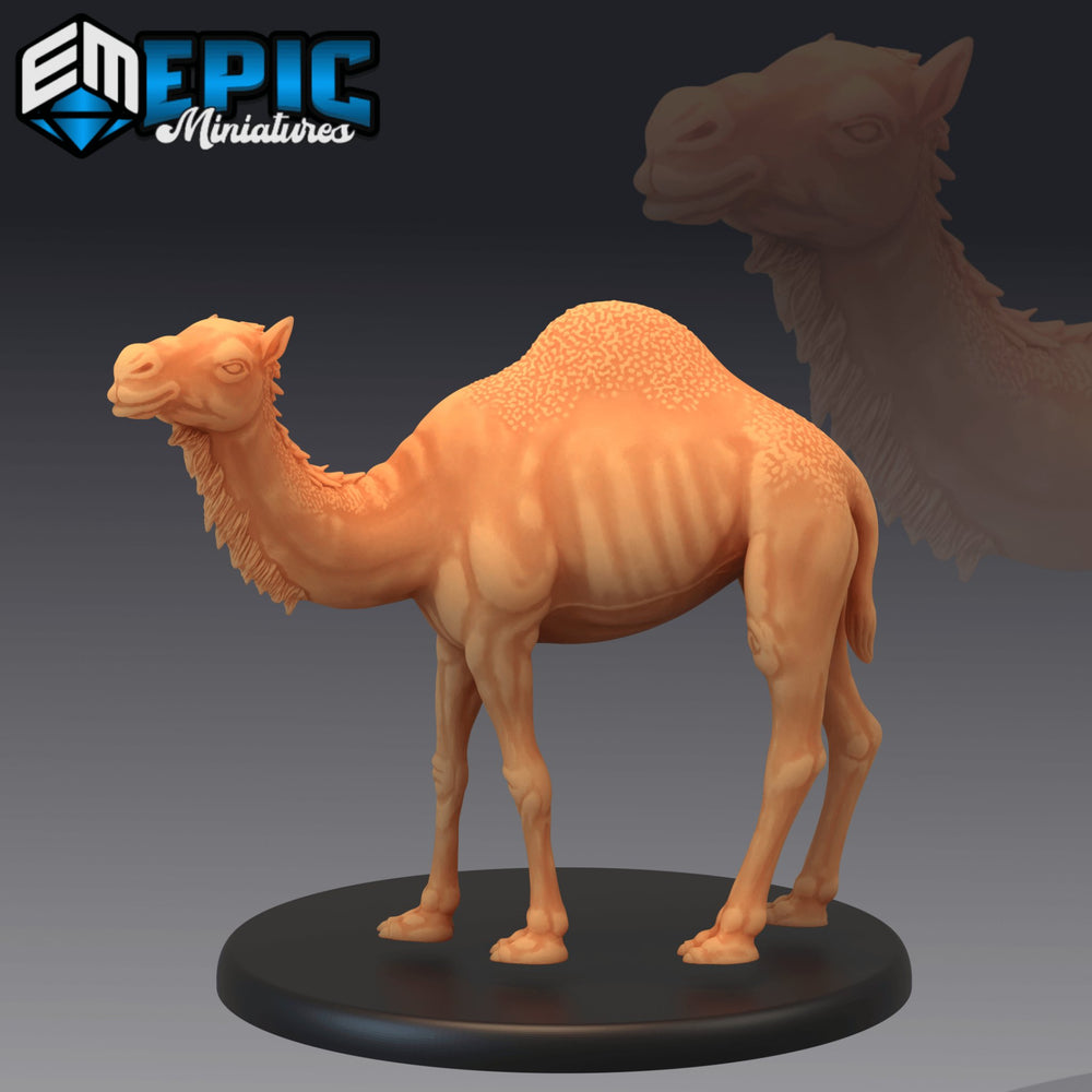 Camel Miniature - Mini Megastore