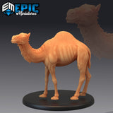 Camel Miniature - Mini Megastore