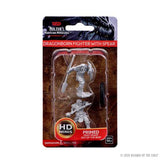 Dragonborn Male Fighter with Spear: Nolzur's Marvelous Miniatures - Mini Megastore