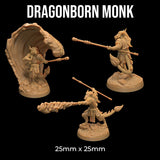 Dragonborn Monk Miniatures - Mini Megastore
