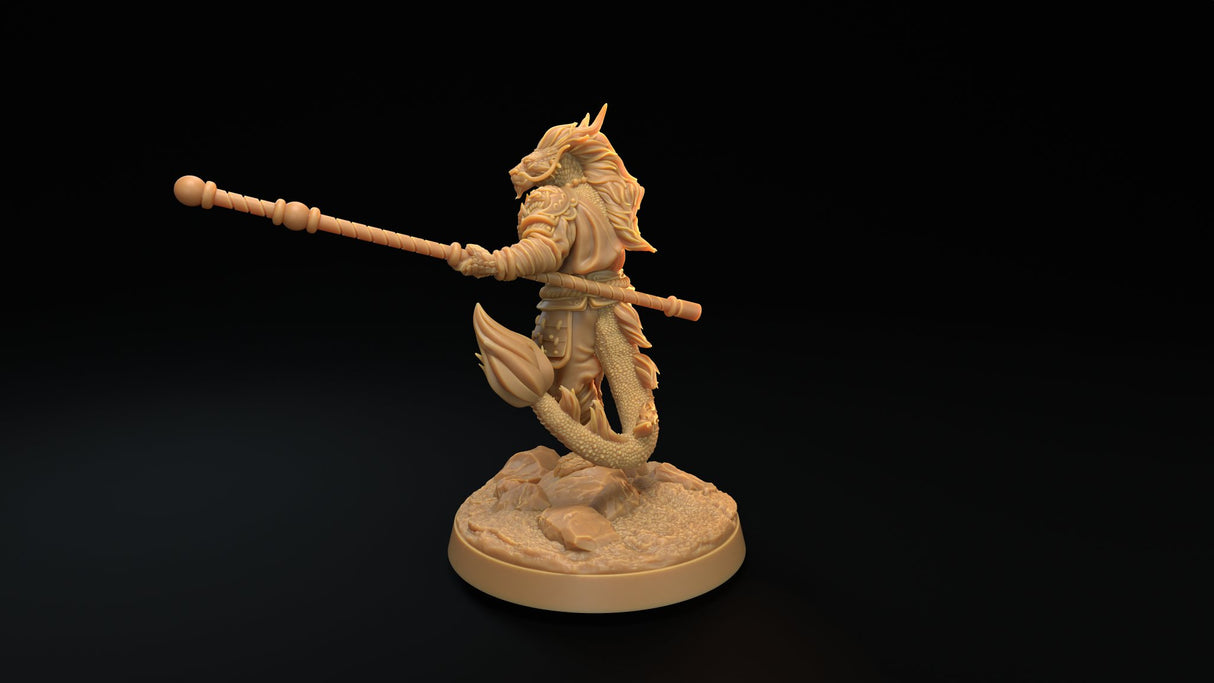 Dragonborn Monk Miniatures - Mini Megastore