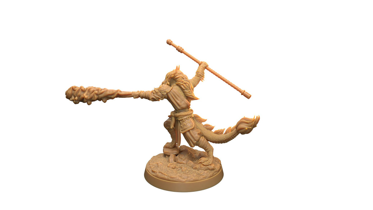 Dragonborn Monk Miniatures - Mini Megastore