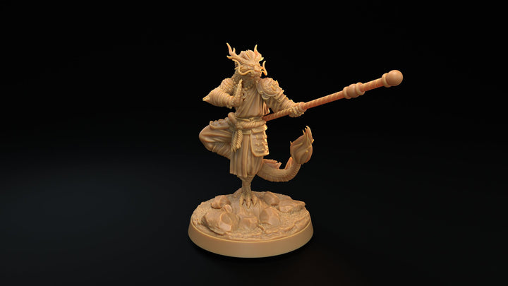 Dragonborn Monk Miniatures - Mini Megastore