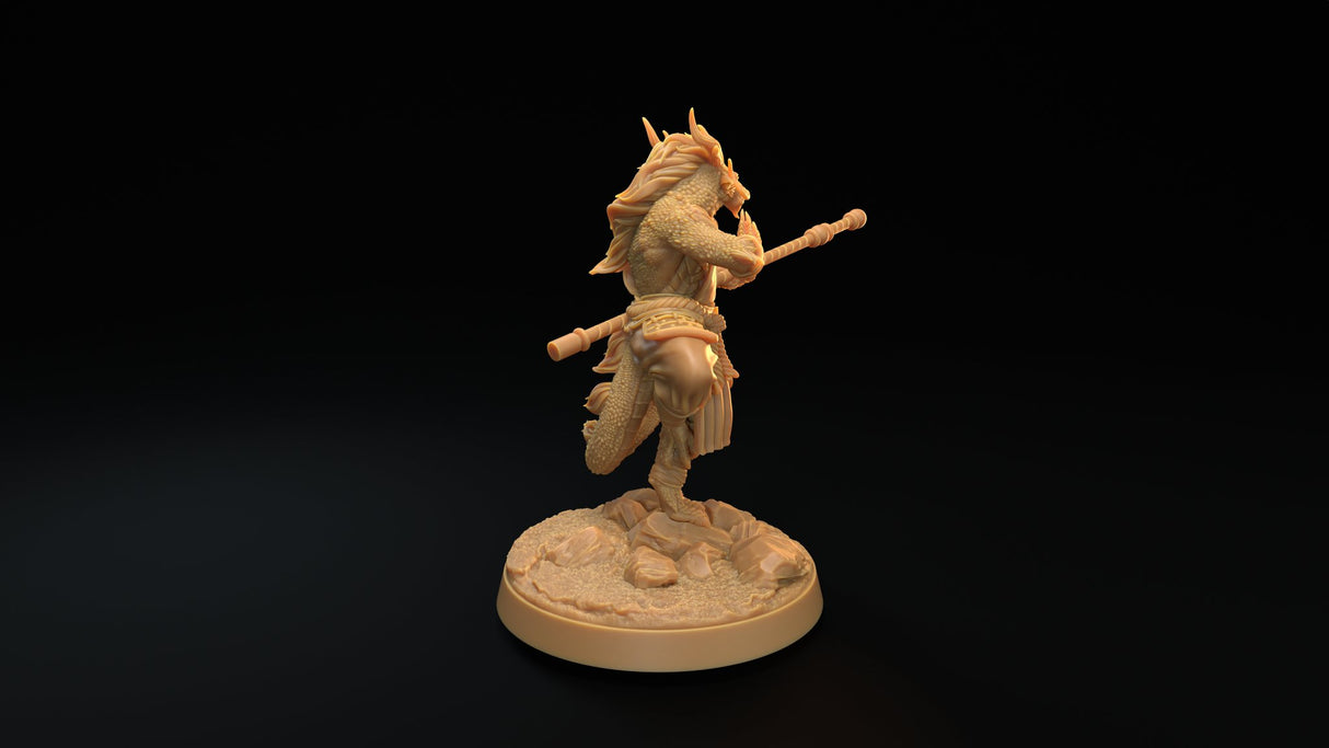 Dragonborn Monk Miniatures - Mini Megastore