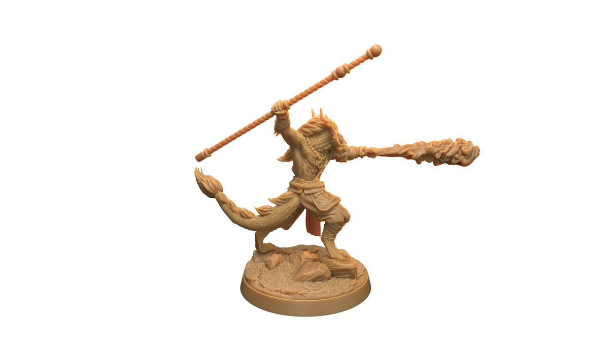 Dragonborn Monk Miniatures - Mini Megastore