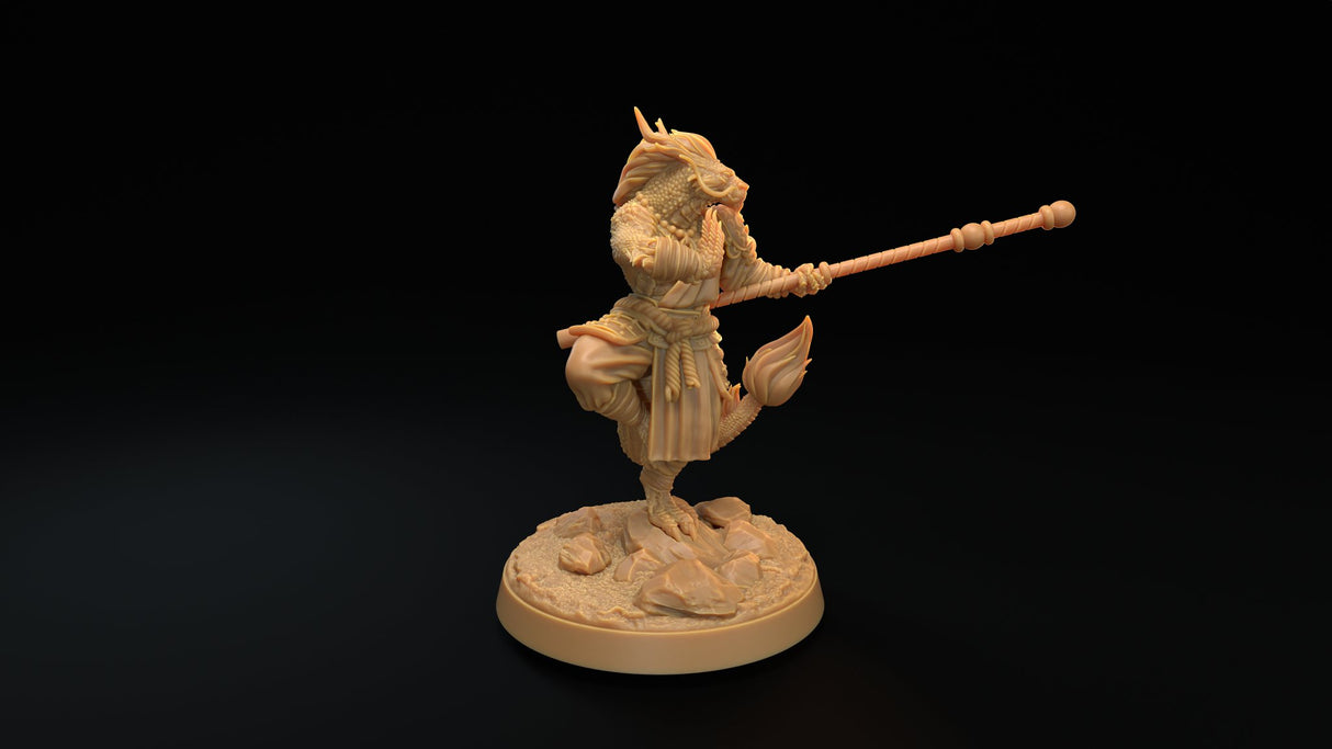 Dragonborn Monk Miniatures - Mini Megastore
