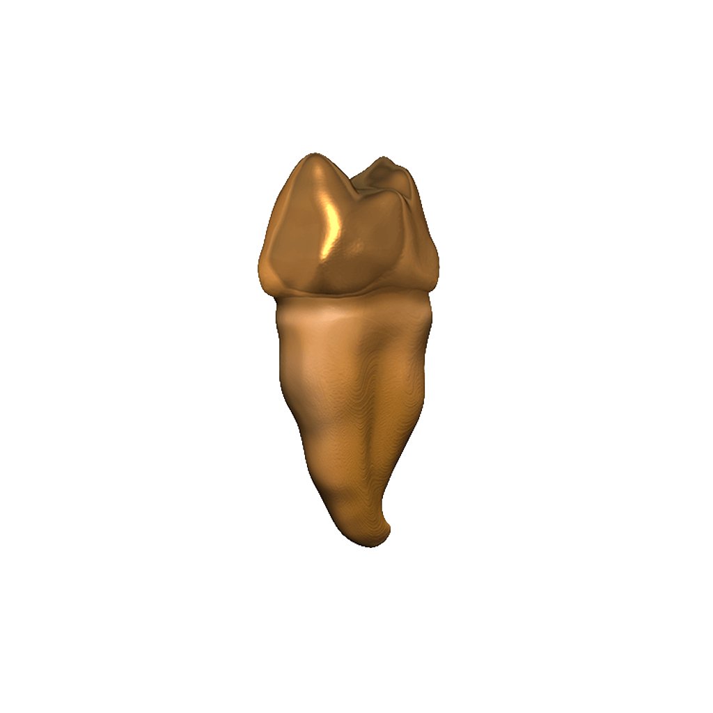 Dungeons & Dragons: Teeth of Dahlver-Nar Bite-Sized Artifact - Mini Megastore