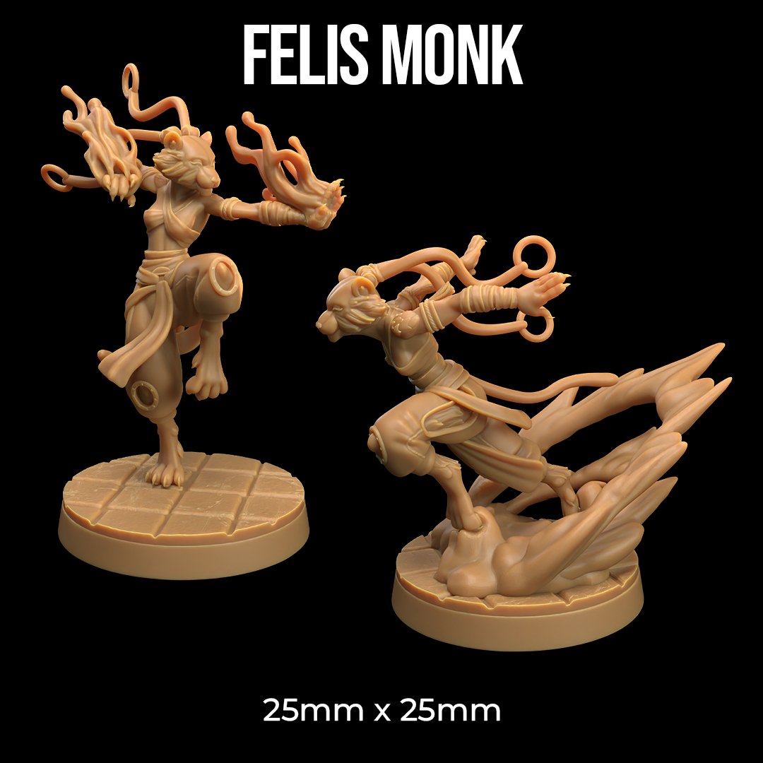 Felis Monk - Tabaxi / Cat Folk Monk Miniature - Mini Megastore
