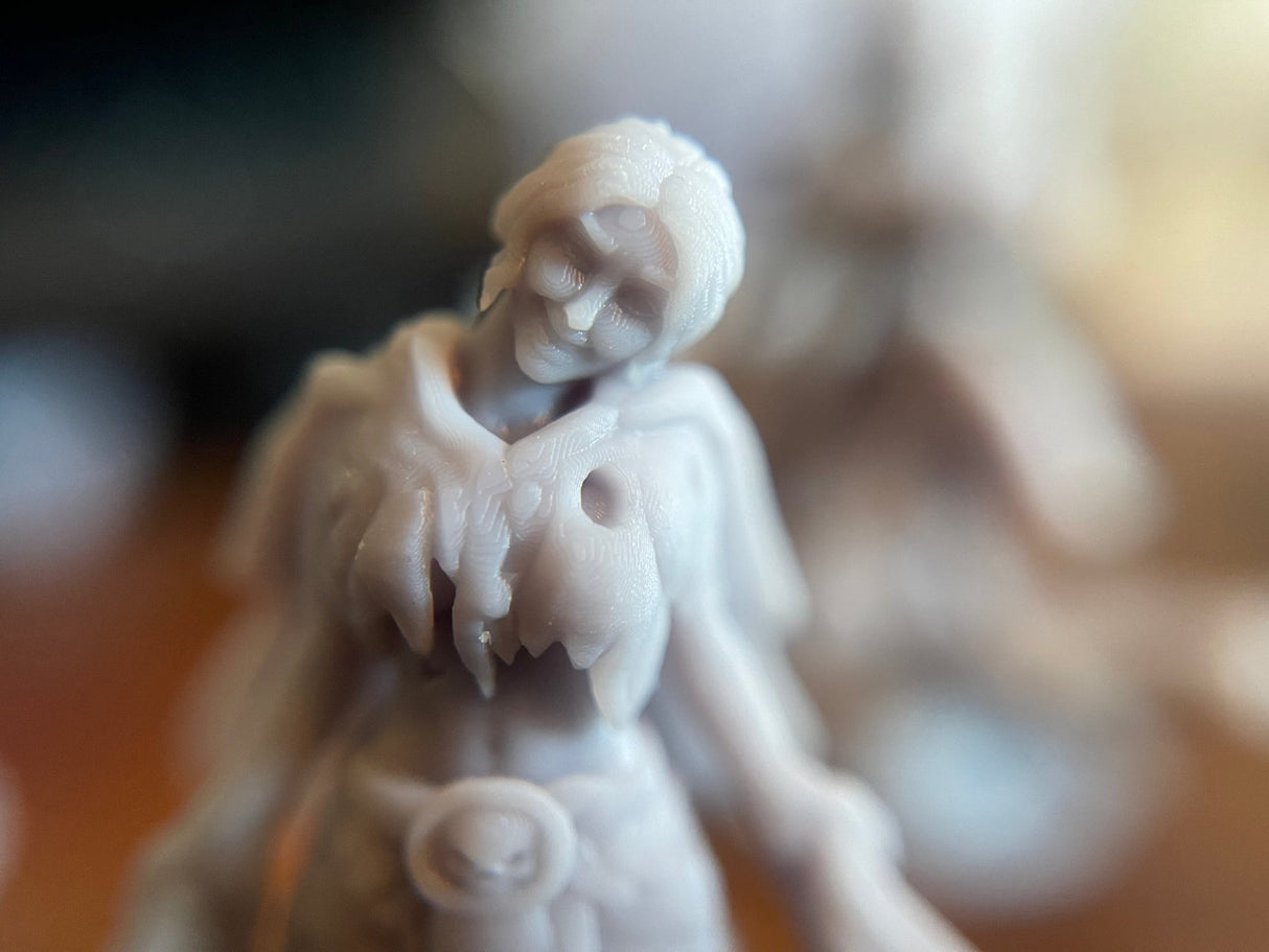 Hero Forge / Standard miniature Printing Service - Mini Megastore