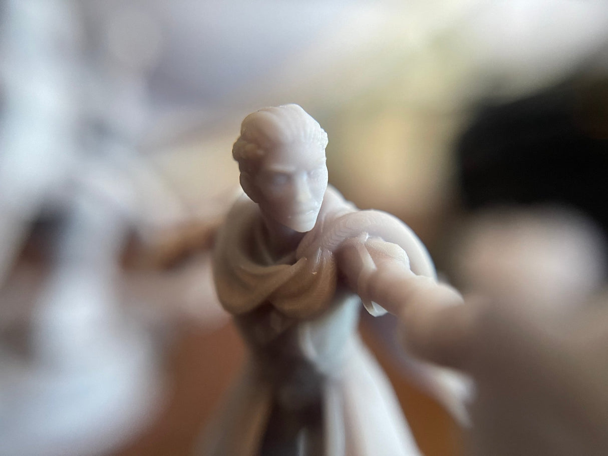Hero Forge / Standard miniature Printing Service - Mini Megastore