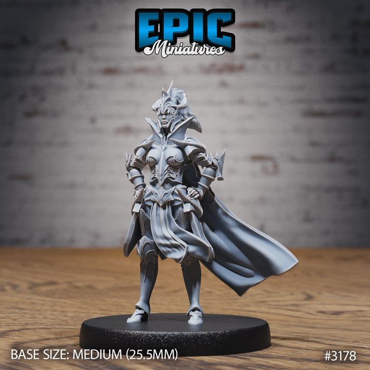 Hunters Guild Female Knight Miniature - Mini Megastore