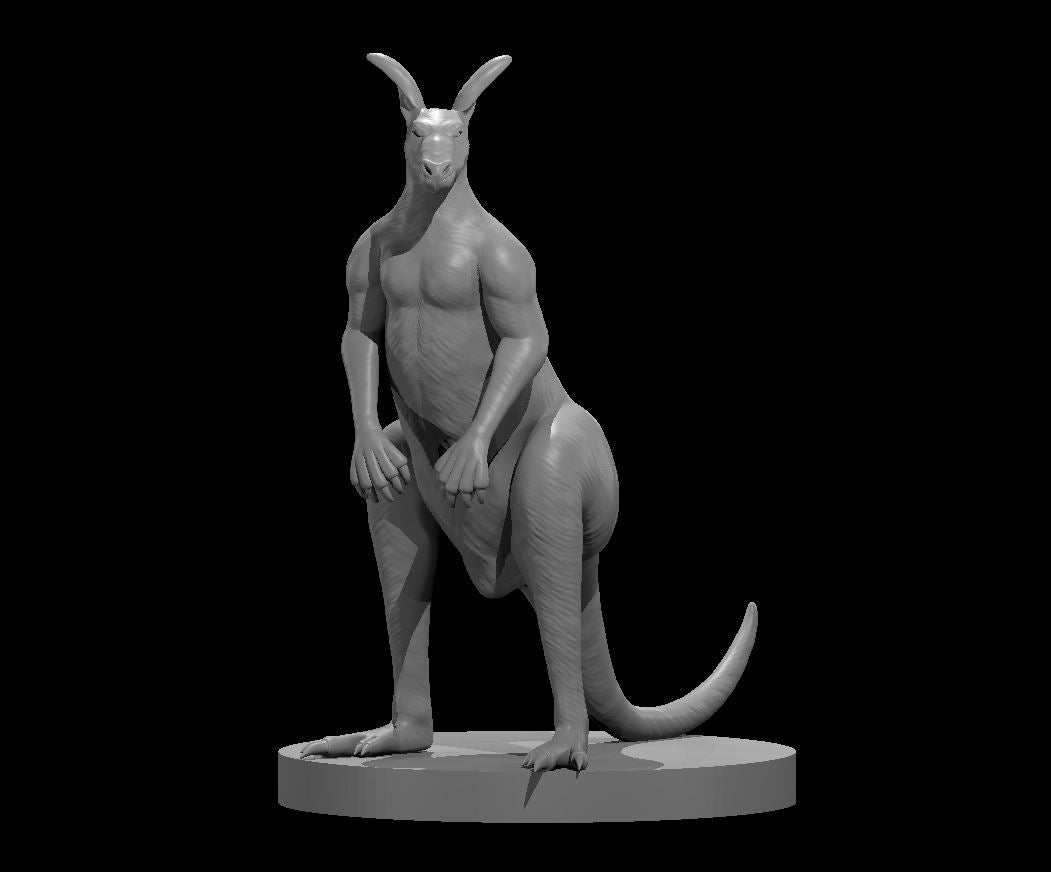 Kangaroo and Kangaroo Boxer Miniatures - Mini Megastore