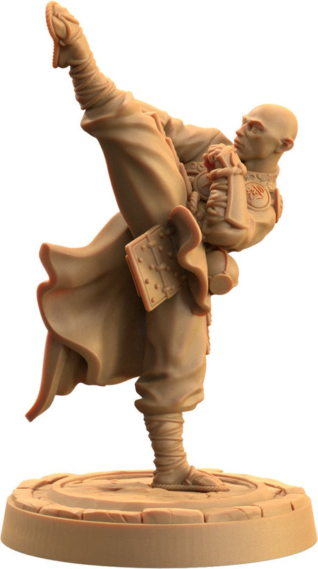 Ki Master - Human Monk Miniatures - Mini Megastore