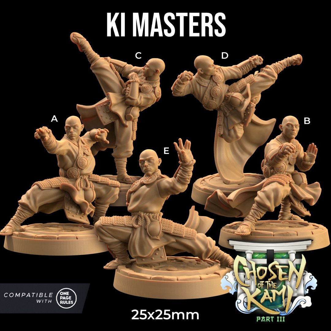 Ki Master - Human Monk Miniatures - Mini Megastore