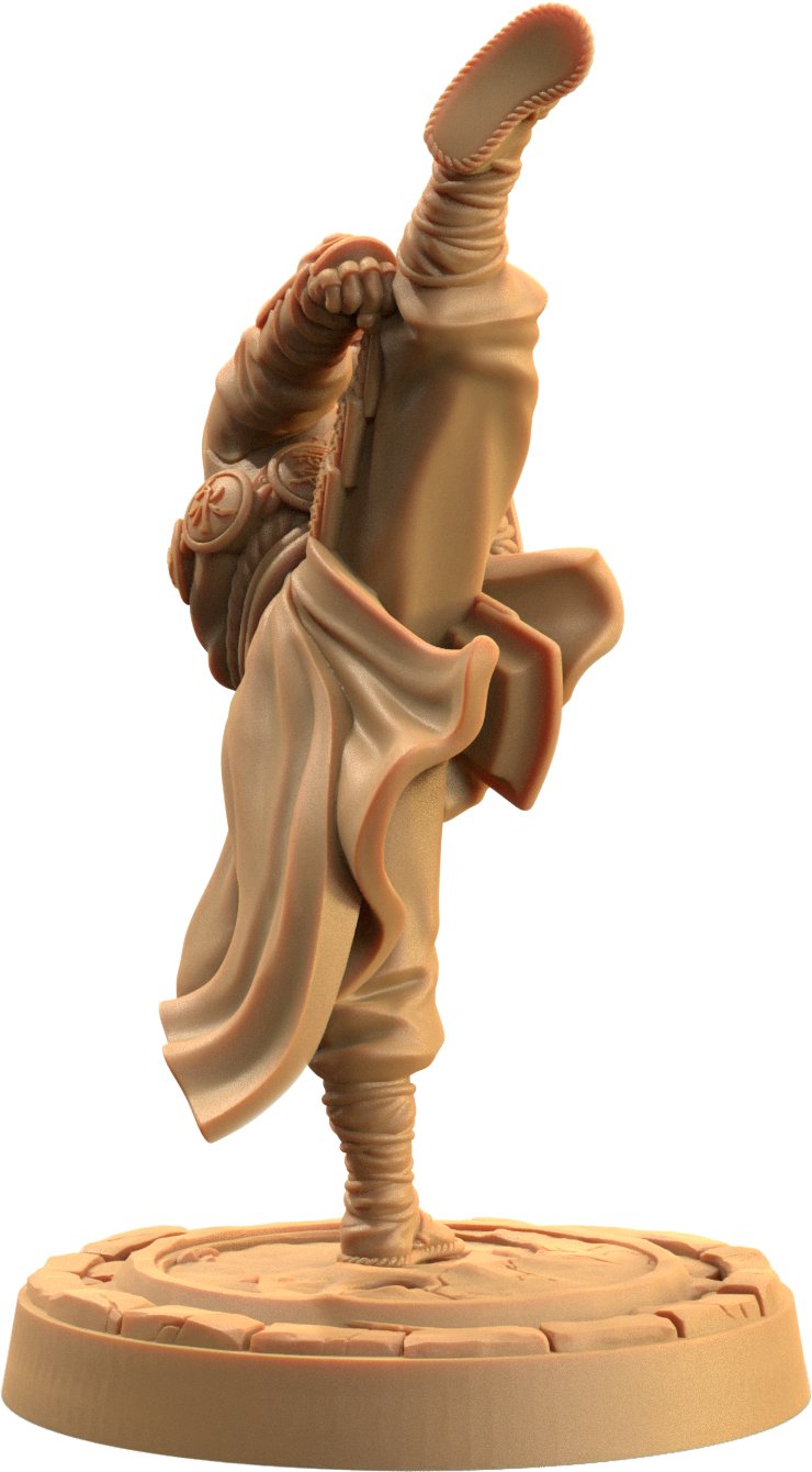 Ki Master - Human Monk Miniatures - Mini Megastore