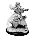 Male Human Wizard: Nolzurs Marvelous Miniatures - Mini Megastore