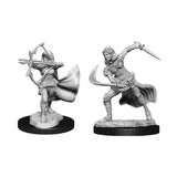 Nolzur's Marvelous Miniatures: Air Genasi Female Miniatures Pack of 2 - Mini Megastore