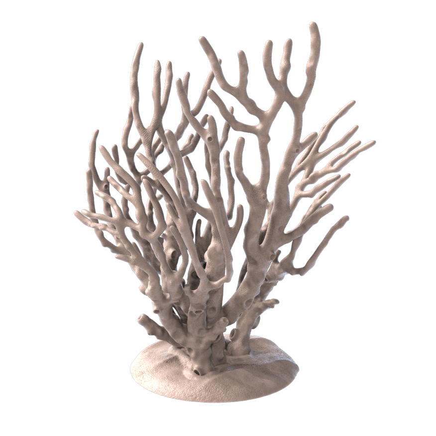 Ocean Coral Scatter - Mini Megastore
