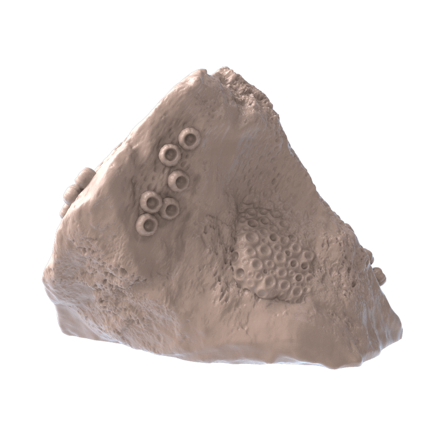 Ocean Rock Scatter - Mini Megastore