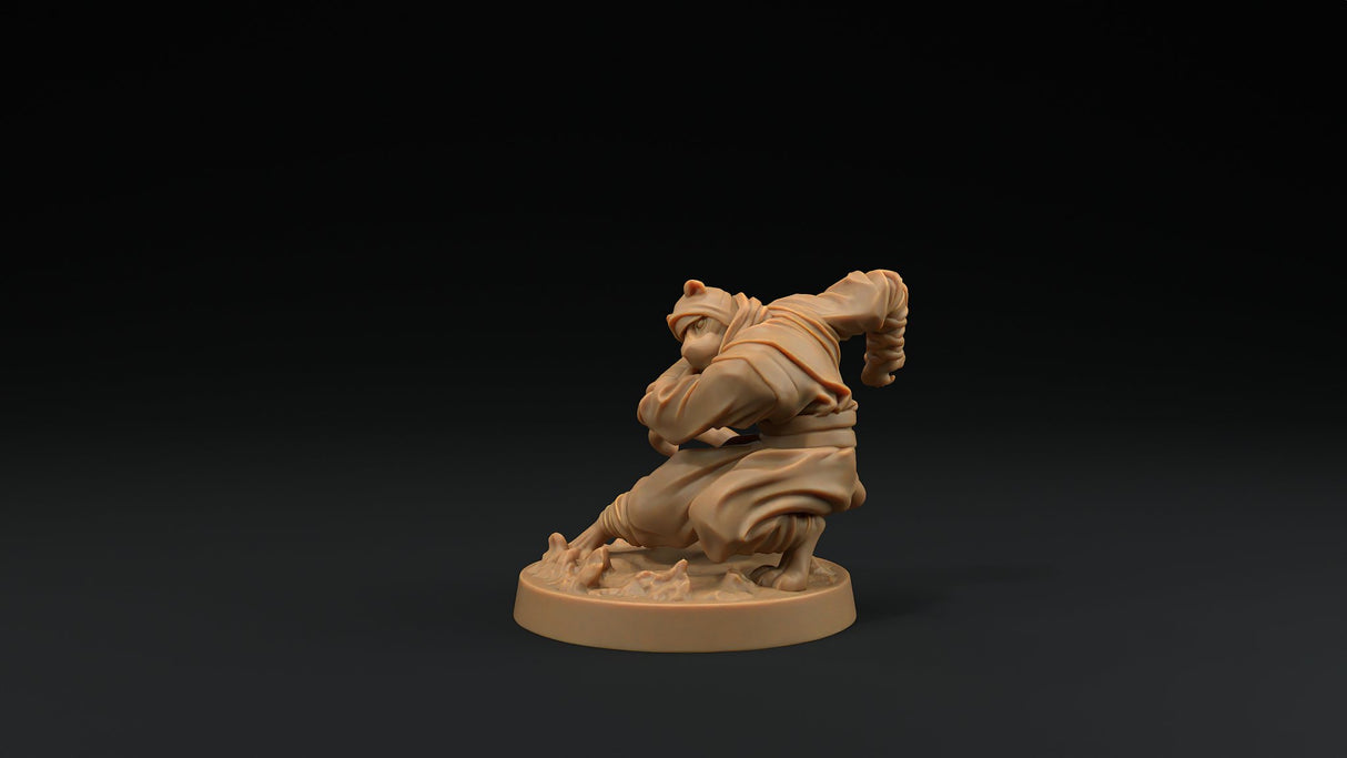 Paw Clan Ninjas - Tabaxi Rogue Miniatures - Mini Megastore