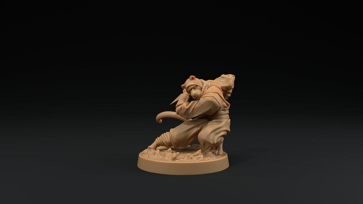Paw Clan Ninjas - Tabaxi Rogue Miniatures - Mini Megastore