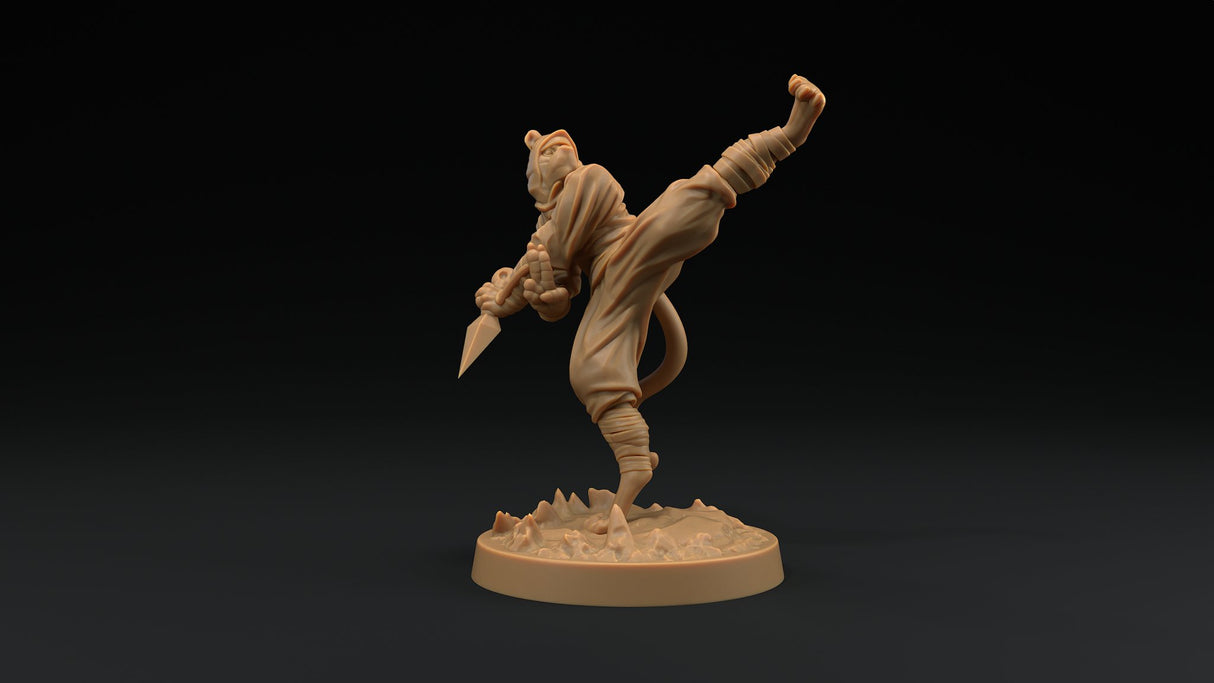 Paw Clan Ninjas - Tabaxi Rogue Miniatures - Mini Megastore