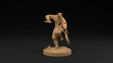 Paw Clan Ninjas - Tabaxi Rogue Miniatures - Mini Megastore