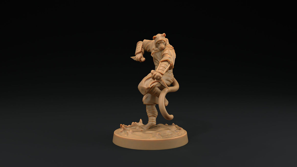 Paw Clan Ninjas - Tabaxi Rogue Miniatures - Mini Megastore