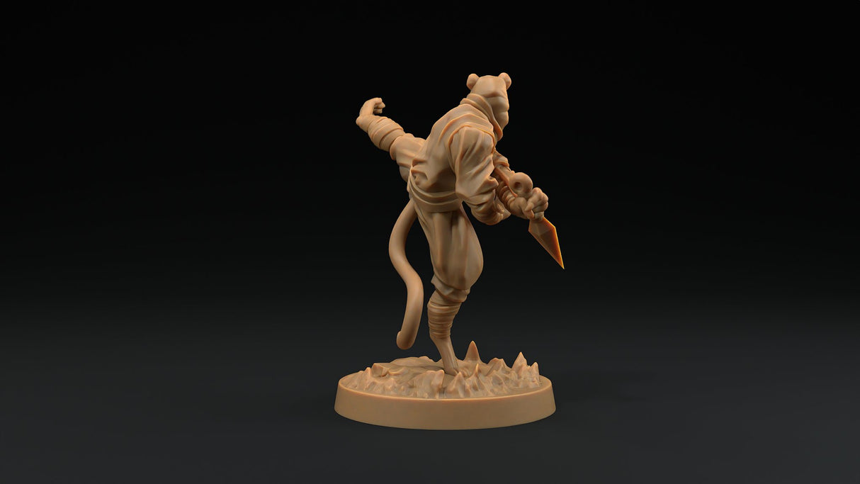 Paw Clan Ninjas - Tabaxi Rogue Miniatures - Mini Megastore