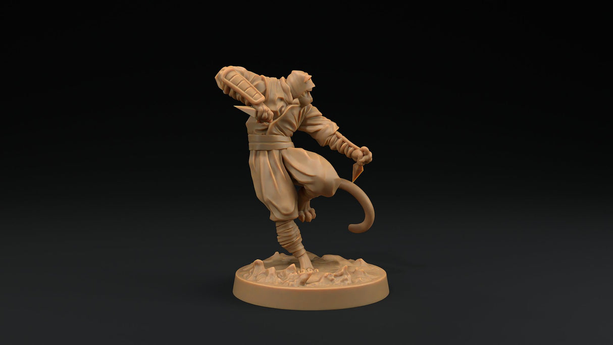 Paw Clan Ninjas - Tabaxi Rogue Miniatures - Mini Megastore