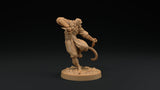 Paw Clan Ninjas - Tabaxi Rogue Miniatures - Mini Megastore