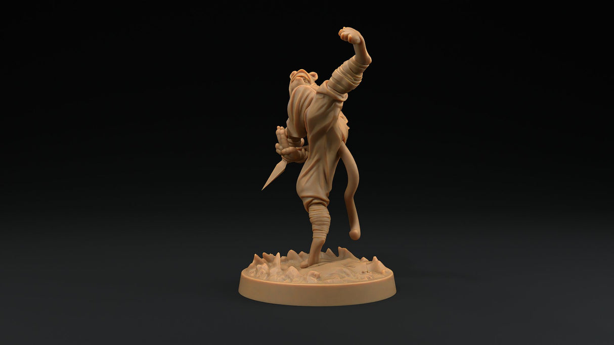 Paw Clan Ninjas - Tabaxi Rogue Miniatures - Mini Megastore