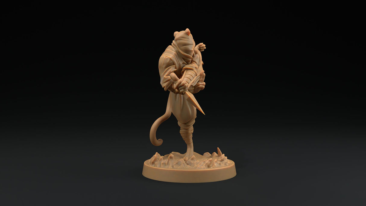 Paw Clan Ninjas - Tabaxi Rogue Miniatures - Mini Megastore