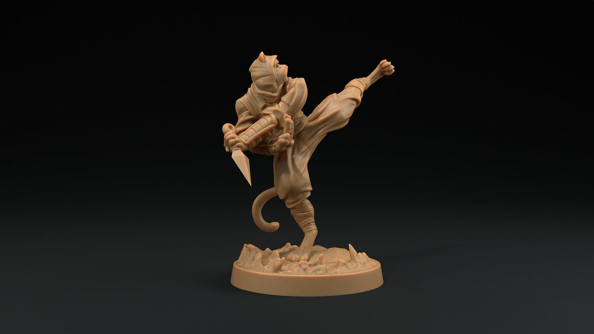 Paw Clan Ninjas - Tabaxi Rogue Miniatures - Mini Megastore