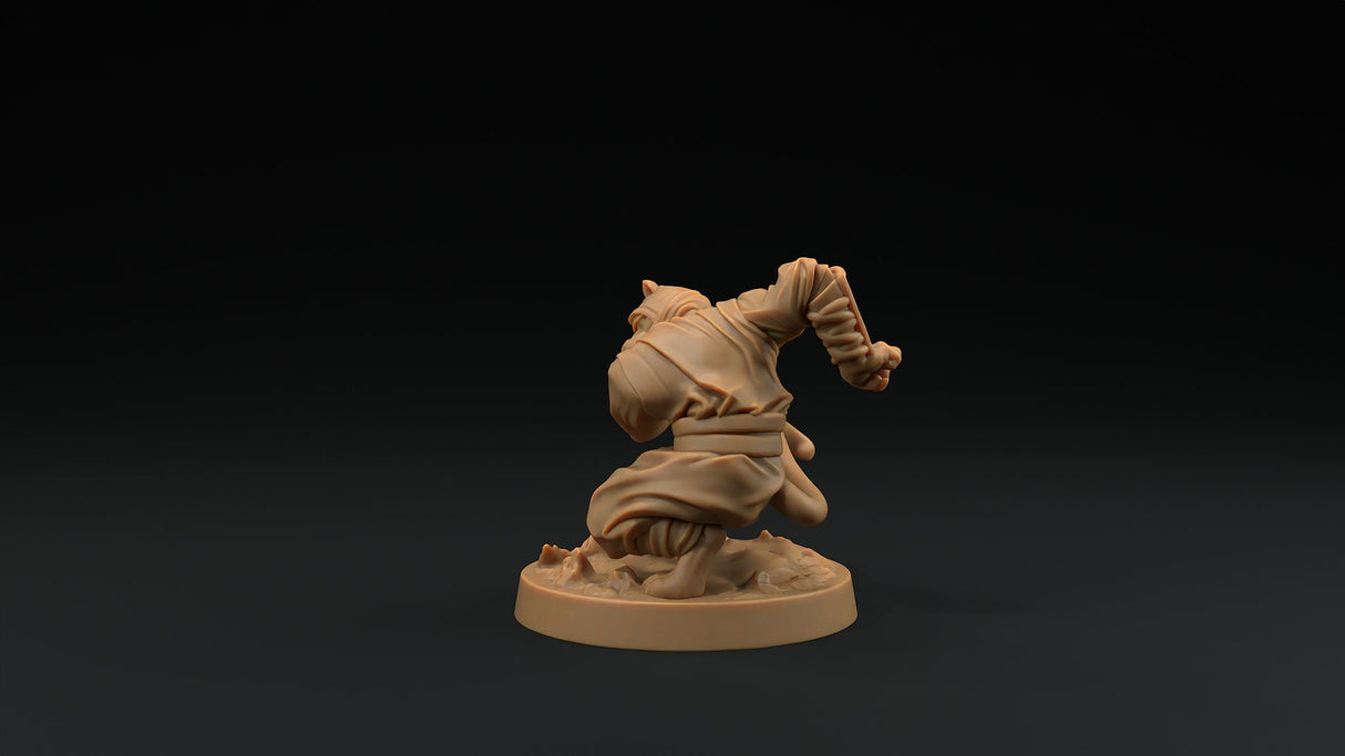 Paw Clan Ninjas - Tabaxi Rogue Miniatures - Mini Megastore
