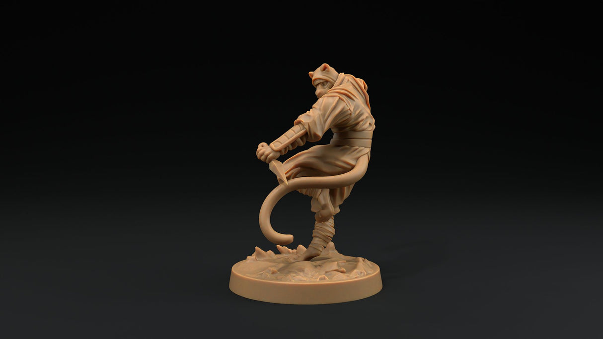 Paw Clan Ninjas - Tabaxi Rogue Miniatures - Mini Megastore