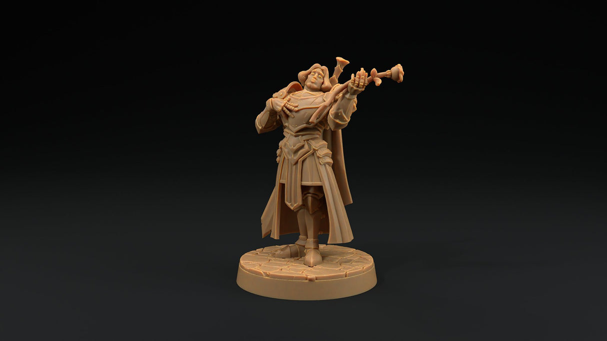 Sir Smugshine - Human Paladin Noble Miniature - Mini Megastore