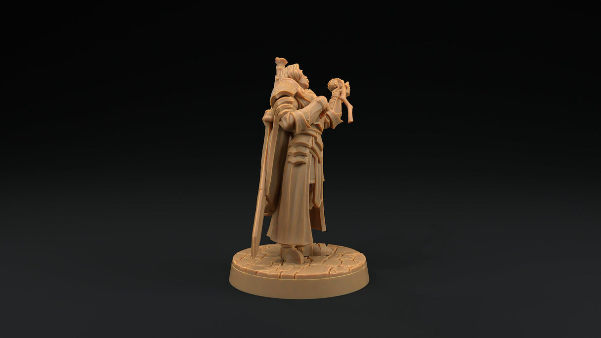 Sir Smugshine - Human Paladin Noble Miniature - Mini Megastore