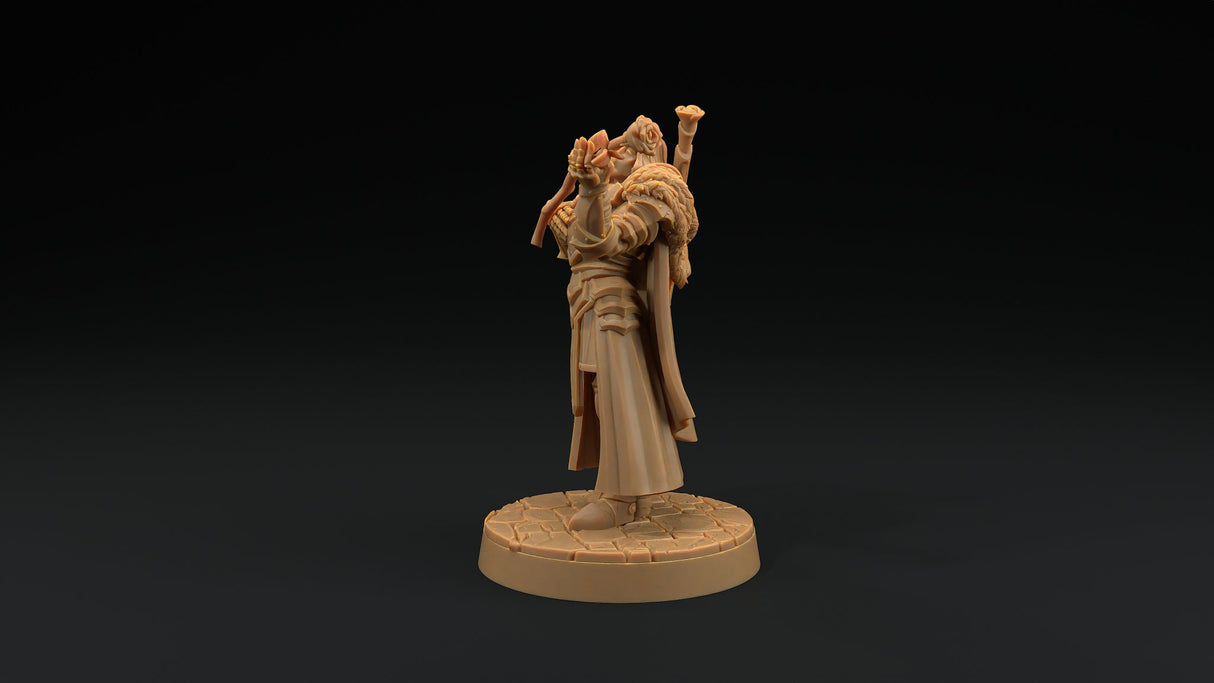 Sir Smugshine - Human Paladin Noble Miniature - Mini Megastore