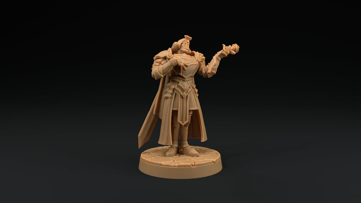 Sir Smugshine - Human Paladin Noble Miniature - Mini Megastore