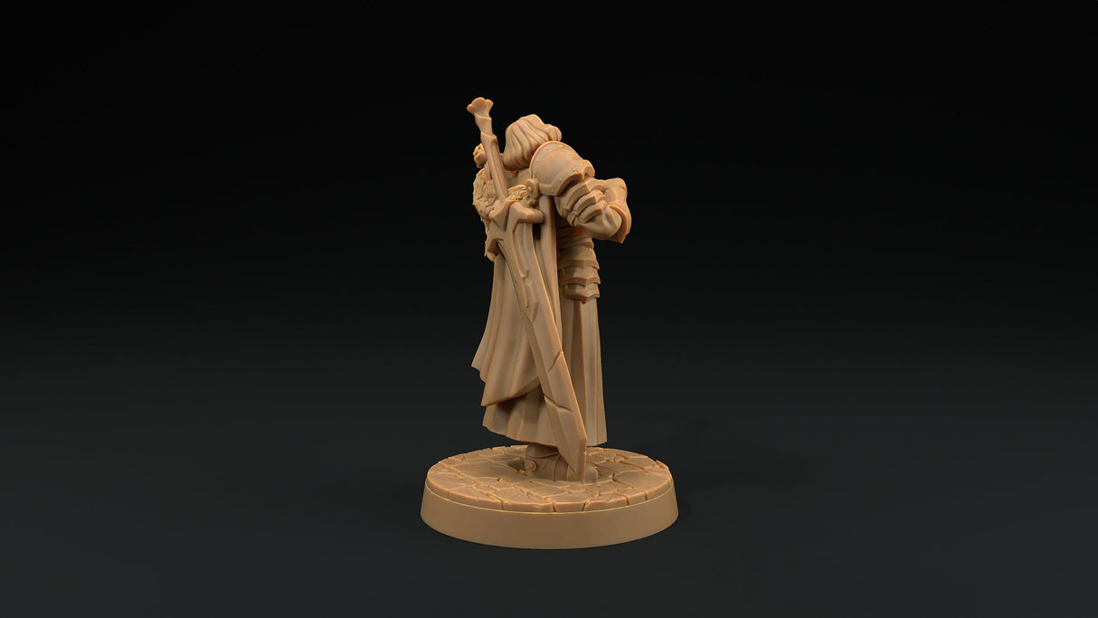 Sir Smugshine - Human Paladin Noble Miniature - Mini Megastore