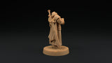 Sir Smugshine - Human Paladin Noble Miniature - Mini Megastore