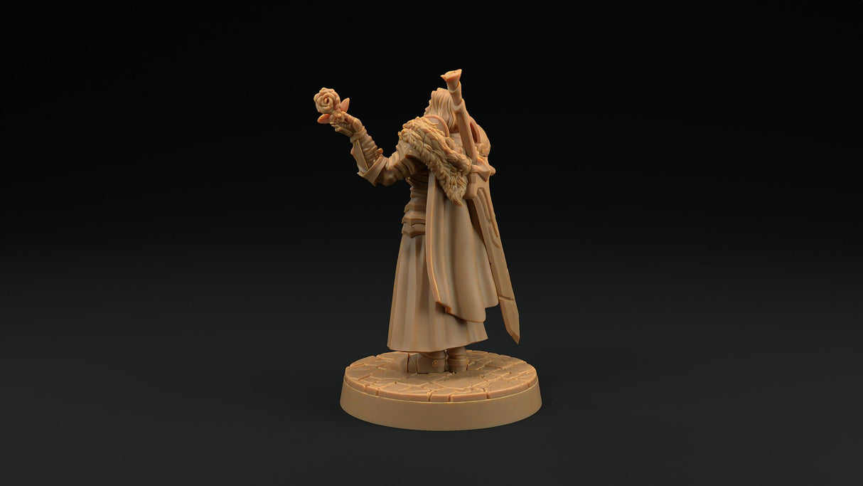 Sir Smugshine - Human Paladin Noble Miniature - Mini Megastore