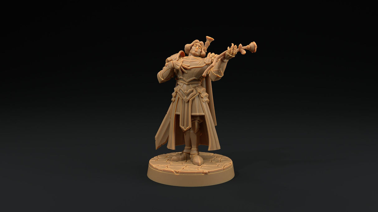 Sir Smugshine - Human Paladin Noble Miniature - Mini Megastore