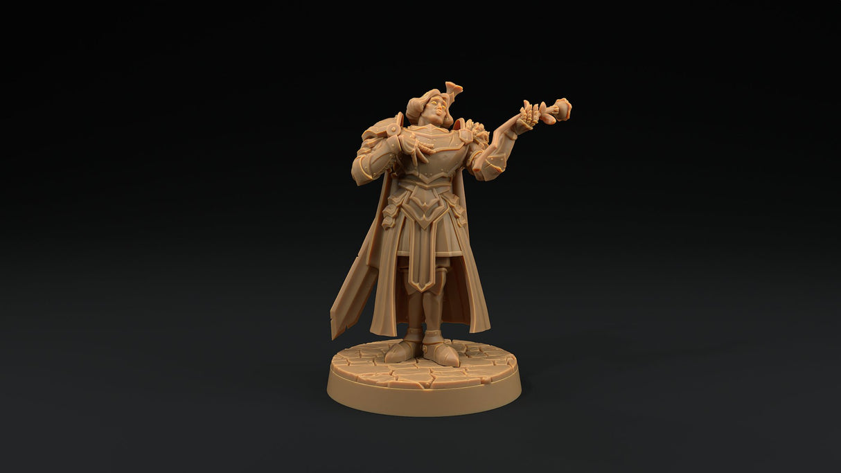 Sir Smugshine - Human Paladin Noble Miniature - Mini Megastore