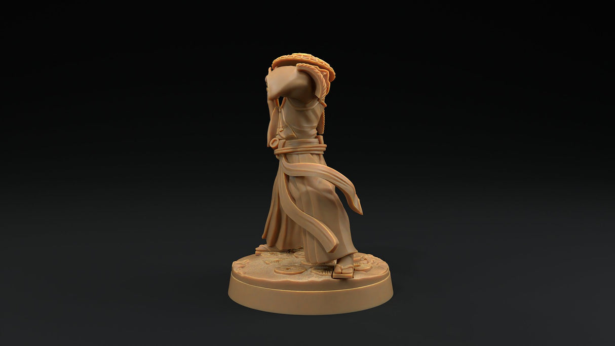 Sword Masters Miniatures - Mini Megastore