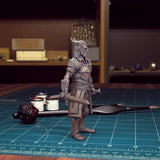 Tiefling fighter Miniatures - Mini Megastore