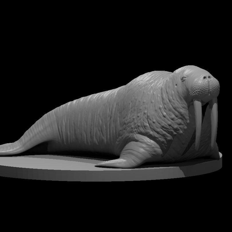 Walrus Miniature - Mini Megastore