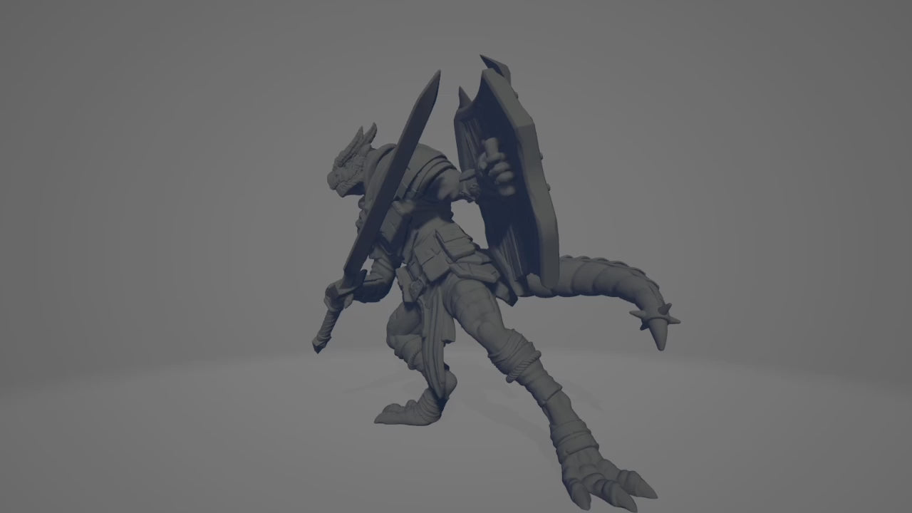 Dragonborn Fighter/Paladin Miniature